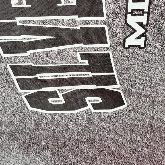 Rag Wear USA Call on Silver Beach Michigan grey crewneck sweatshirt long sleeves - Picture 13 of 15